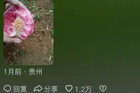 原来水果也有被时代淘汰的！看完网友的分享以前还有这种水果啊图片