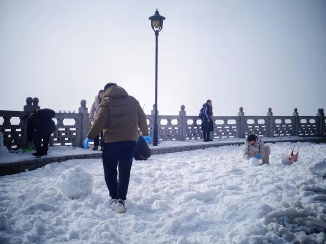 又来？这样的随州，你见没见过？