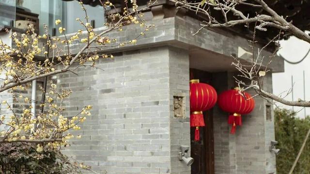 香香香香香！金坛茅山的第一波蜡梅开了！