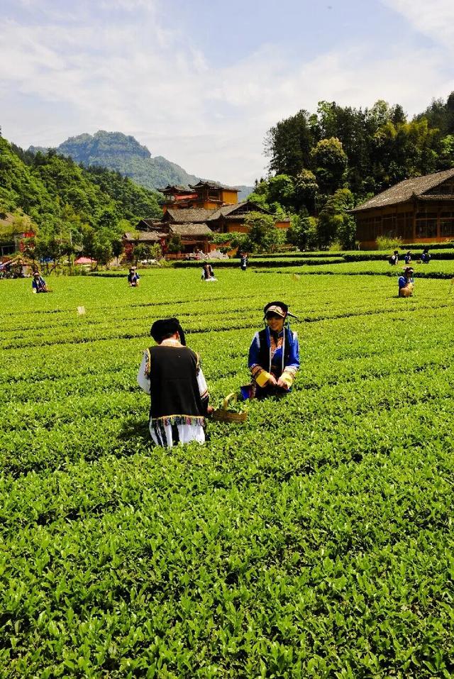 恩施⇋大邱直飞航线首航成功！冬日游恩施，邂逅诗画美景