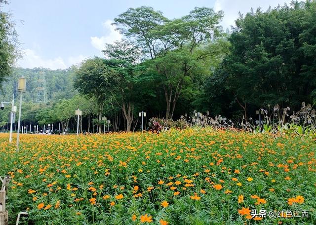 秋阳叩坊，甜醒顺峰