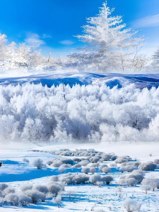 冬季呼伦贝尔海拉尔、阿尔山、满洲里、根河不冻河、漠河、北极村