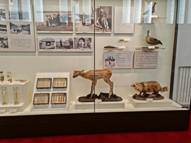 周末遛娃好去处