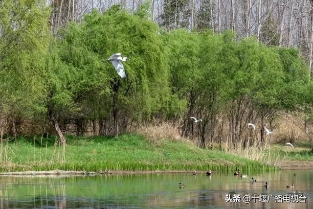 伏天遛娃！十堰这17个免费场馆，高能又凉爽~