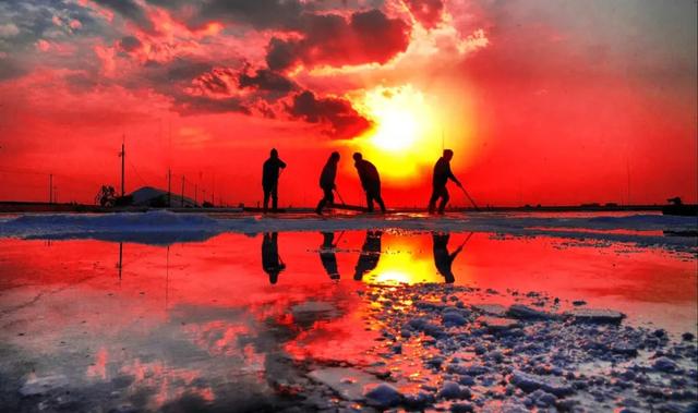 冬日斑斓笔触,书写潍坊滨海的色彩诗篇