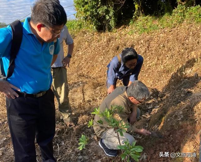 山海交响 福聚宁德｜霞浦黄瓜山遗址成功入选省级考古遗址公园，千年海洋文明邀你“打卡”