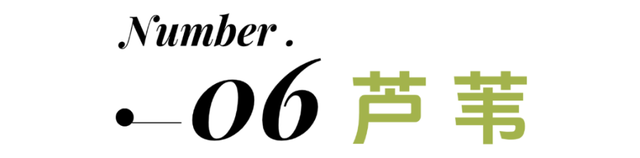 秋日第一波花海！上线！