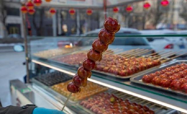 去趟大连才知道，这座最不东北的城市，跟哈尔滨有太多的不同！