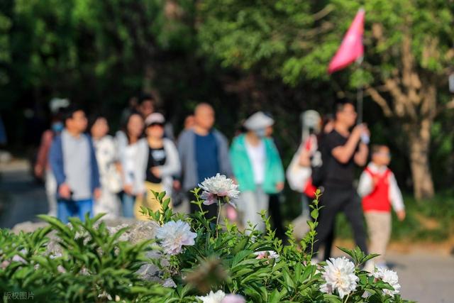 从湖南去了一趟洛阳，实话实说，回来才发现朋友圈都是骗人的？