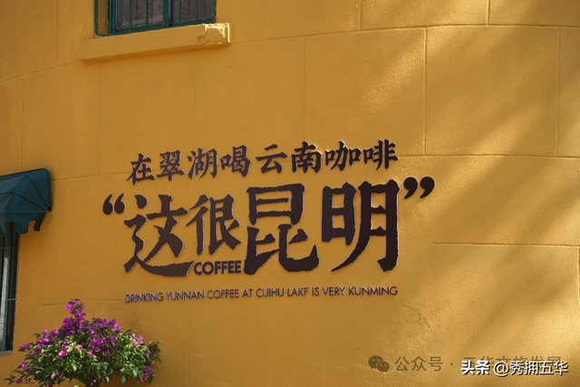 在翠湖与老街之间，生长出的昆明慢生活样本