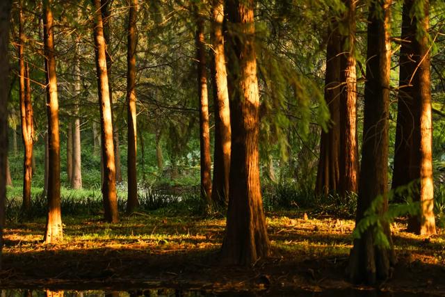 时间在这里按下暂停键,让我们见证季节变换