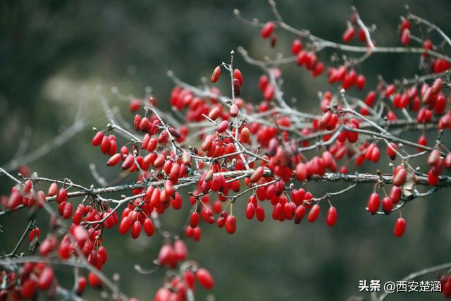 我是周至的寄信人，正寄出你最想收到的那封山河彩信