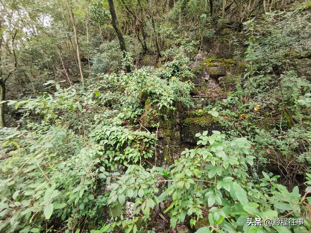 探寻龙眼山古寺遗址，一次最为艰难的野外探险之旅