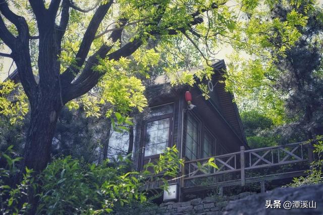 在淄博也能野奢度假！住进这三家山野民宿，成为风景的一部分​……​（文末有优惠）