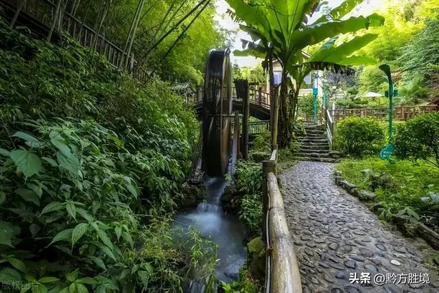 六盘水有一个景区就这样荒废了，坐拥3万亩竹海，堪称避暑胜地