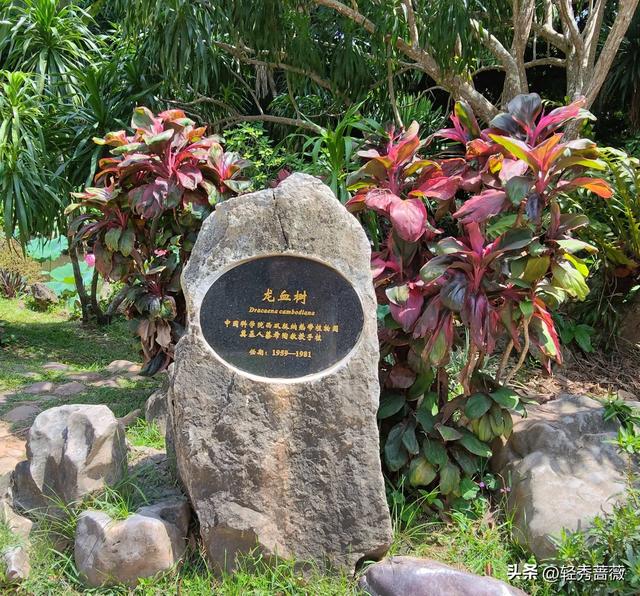 云南西双版纳，极具鲜明特色的旅游胜地。