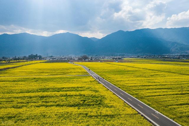 错峰赏花，今年3-5月，去这8个人少的地方，漫山遍野春和景明