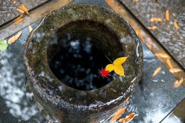 红叶指南：太湖源头的江南秋魂
