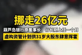 银行原董事长挪用26亿供股东挥霍！网友：没有限额、派出所报备？图片