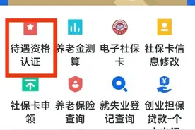 退休人员待遇资格认证操作步骤详解图片