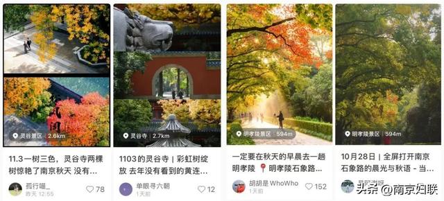 给个准信！盼了又盼的秋日“顶流”全部上线