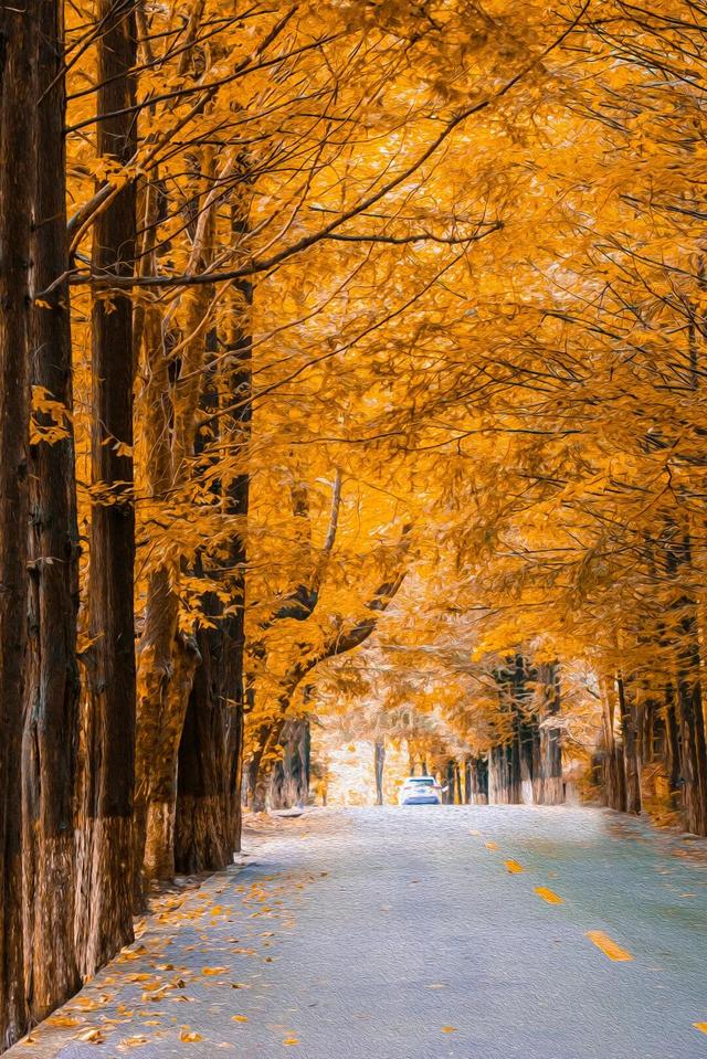 11月旅行地推荐！这13个赏秋地无对手，还藏着国内四大绝美秋色