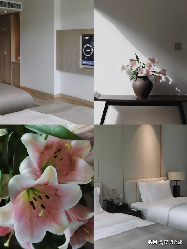 走进西山团结街道，感受藏在时光褶皱里的诗与闲