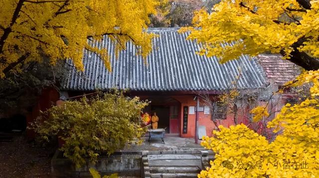 初冬宿州镇头寺，西风调朱墨，尽染深山树！