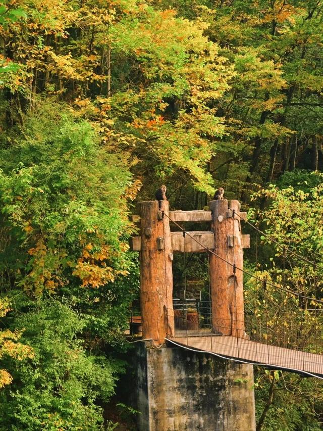 我竟然发现，唐家河红叶居然如此好看！