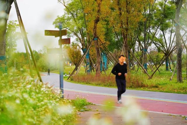 冬崃｜在泉水湖湿地公园，收藏整个冬天的浪漫与生机~