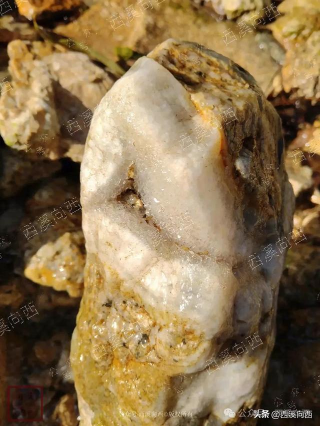 杭州玻璃水中找到“汉堡包”萤石水晶宝石，玩水变挖宝