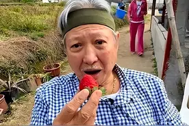 洪金宝：香港功夫传奇的晚年生活与爱情传奇图片
