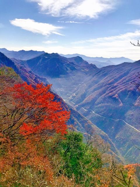 枫景如画，秋色满城！陕西这5个红叶观赏地，每一帧都是大片