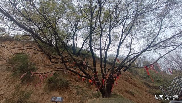 临潼区山村一游