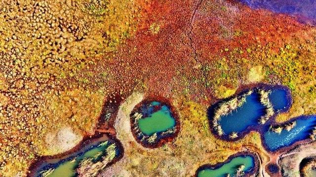 内蒙古杭锦旗：湿地秋景惹人醉