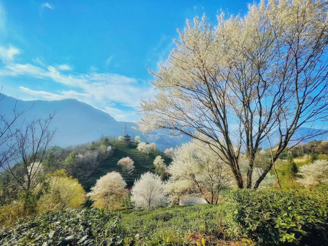 四川省北川县历史沿革及行政区划
