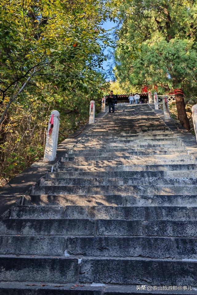 泰安：它是一个藏在泰山群峰间的免费景点，能赏银杏登天梯品清茶