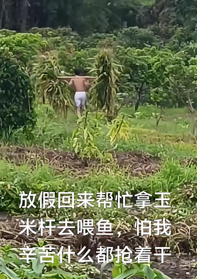 广西体育生宁宇华离世！年仅17岁，长相帅气，死因惋惜母亲太绝望
