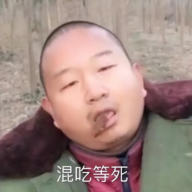 装疯卖傻、丑态百出、目不识丁，到底是谁捧红了这些跳梁小丑？