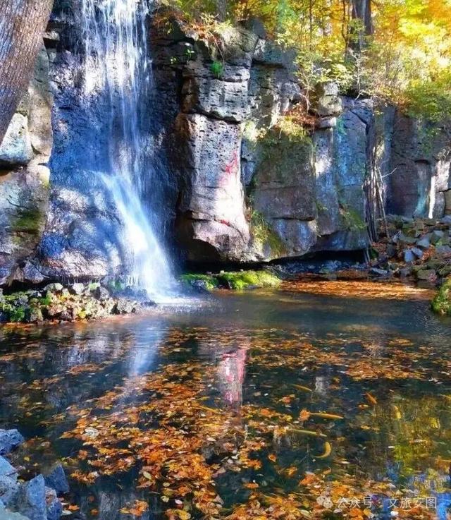 【“双线”开通 畅游安图】东北隐藏的“枫景天花板”，漫山层林染金红，国庆自驾首选地！