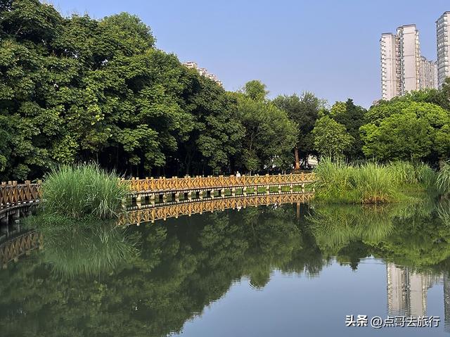 成都市区意外之地，去年被称为天然空调，今年仍然清幽，不要门票