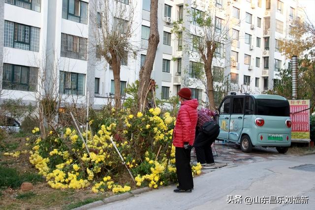 转了一个小圈·及其它