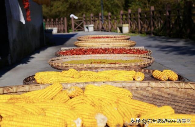 秋涉牯牛降