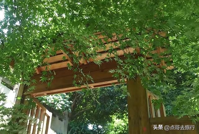 成都被严重低估的寺庙，殿宇精美壮观让人意外，不少人慕名前往！