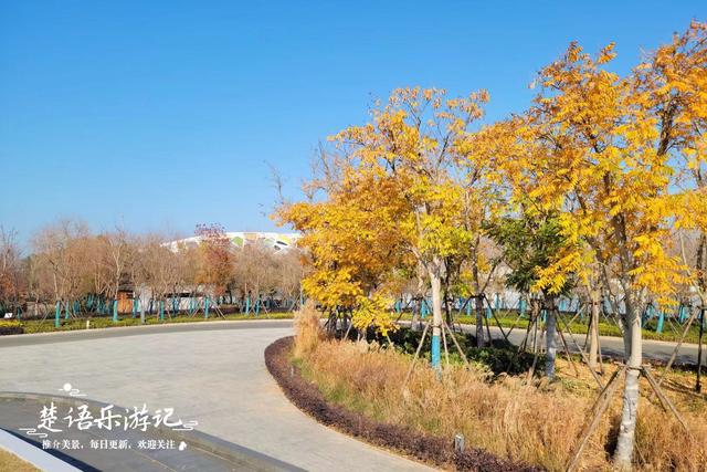 浙江宁波这处风景被人忽略，却有百里生态画廊之誉，秋色斑斓如画