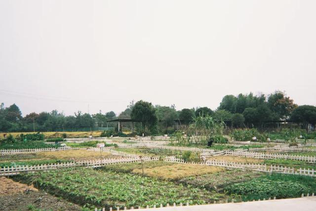在成都西北郊区，这个渐渐淡出视野的最美乡村，还值得一去吗？