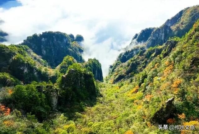 双节同庆·畅游柞水-生态探幽·红叶秘境之旅