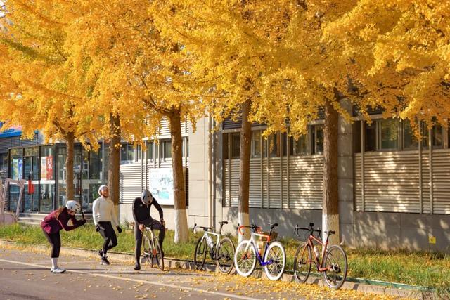 藏不住的惊艳！这座公园正处颜值巅峰