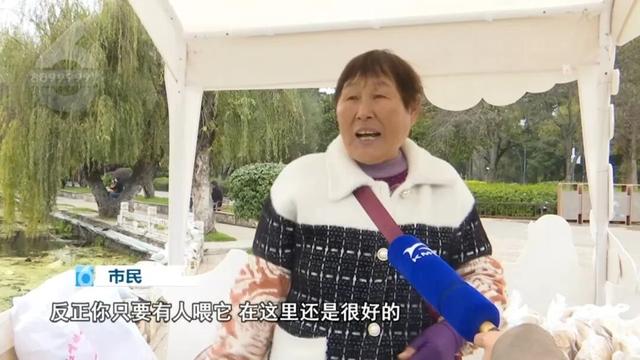 “人少不挤+暖阳鸥遇”，昆明“杀”进淡季旅游热门榜！