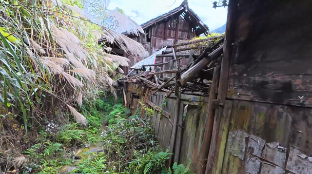 贵州被时光遗忘的古村落，依山傍水环境优美，搬迁多年杂草丛生